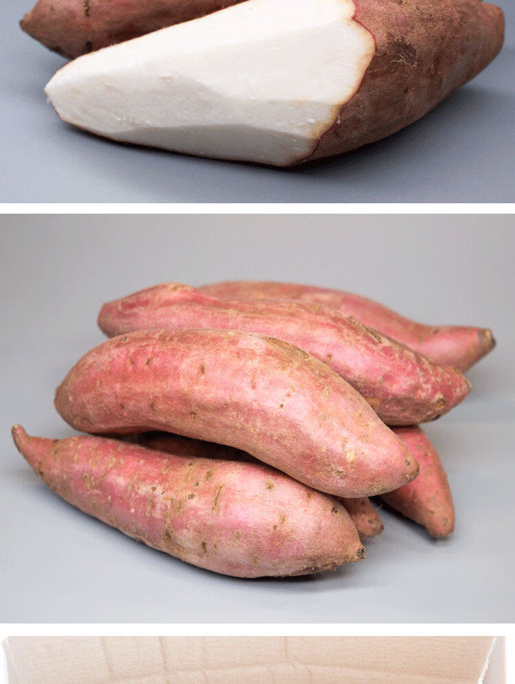 山东哈密冰糖薯新鲜超甜白心烤蜜薯箱薯空气炸锅山芋早餐地瓜 中果