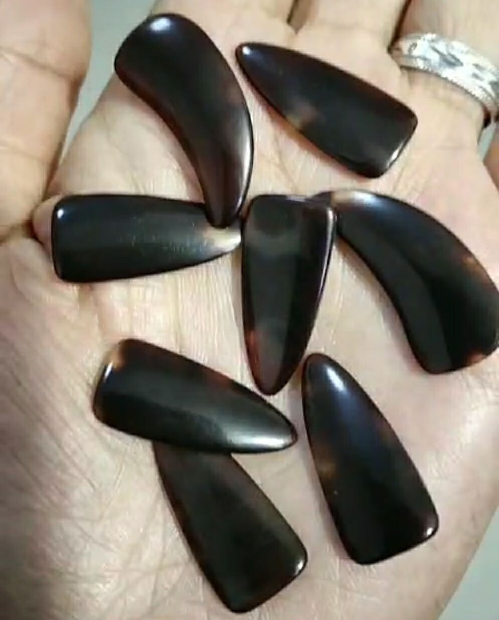 古筝指甲玳瑁色古筝指甲生料双面弧凹槽加厚薄款专业演奏练功幼儿