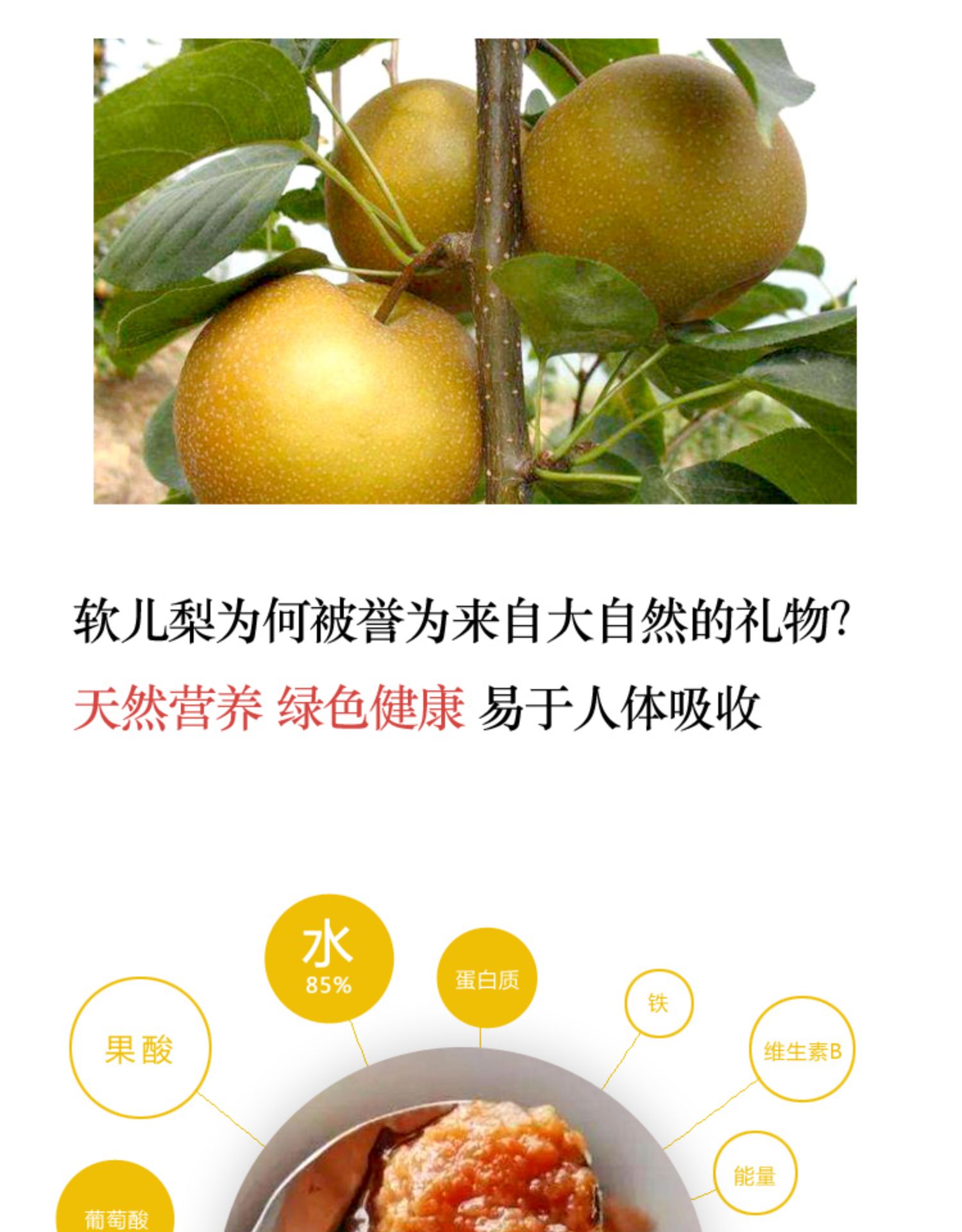 软儿梨兰州特产黑软梨水果新鲜化心梨香水梨甘肃梨大冻梨大果5斤