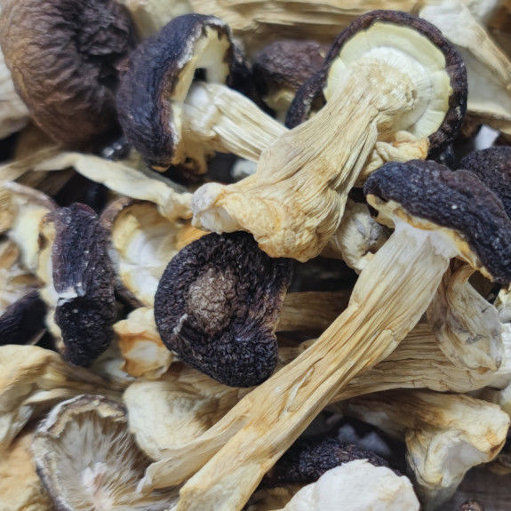 【杉乡源】赤松茸干货贵州特产煲汤天然食材松茸干片球盖菇正宗 【款