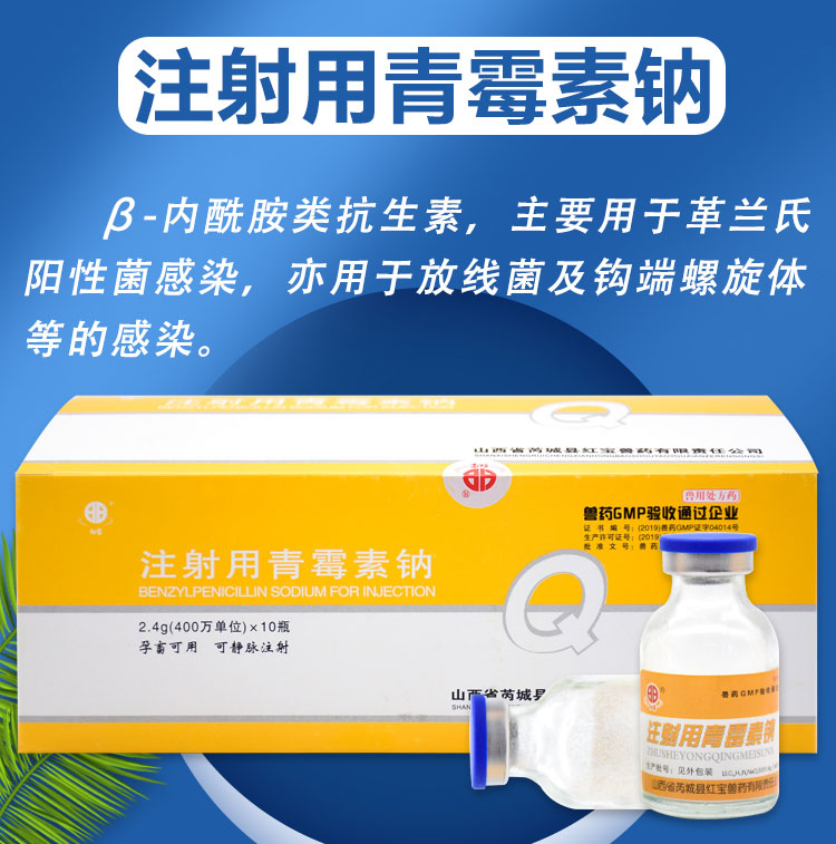 400万青霉素注射用青霉素钠兽药兽用猪牛羊犬猫兔鱼水产24g