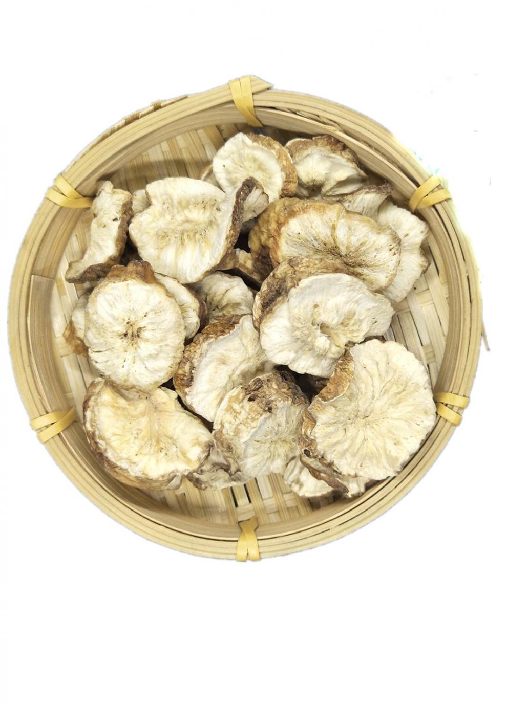 长白山特级天然菊苣根片菊苣栀子茶苦菊根野生菊苣根玉兰根 1000克