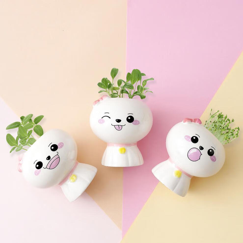 斯柏克 头上长草娃娃幼儿园可爱小盆栽 植物室内学生易活创意迷你diy
