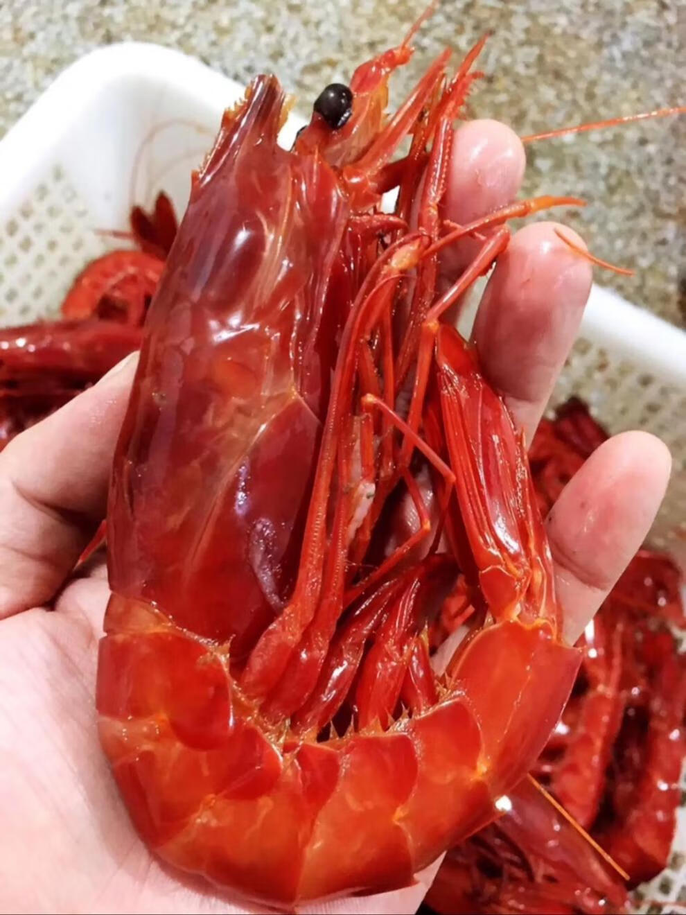 新鲜大红魔虾鲜活美食速冻刺身大号生鲜特米尼红 500克 一斤14-18只约