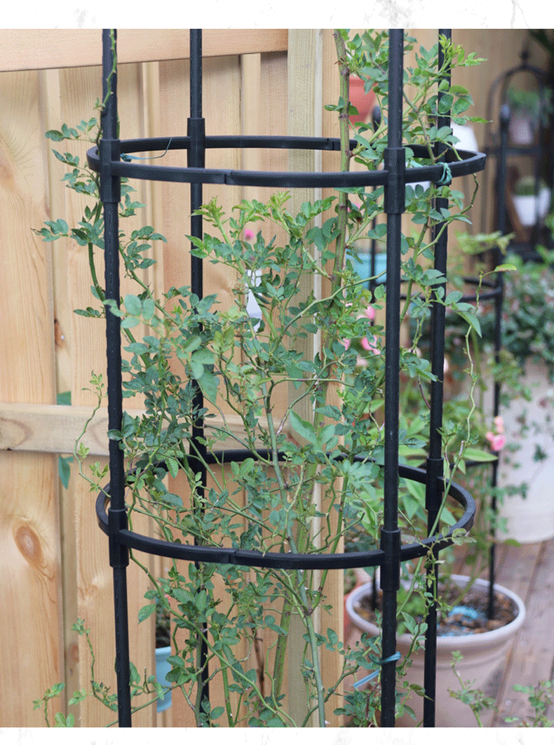 花支架组装户外绿植u型月季攀爬拱门植物组合花支架室外盆栽花架爬藤