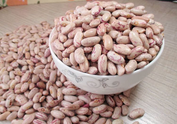 当年新饭豆东北黑龙江花饭豆奶白花芸豆大碴粥豆做豆馅3斤