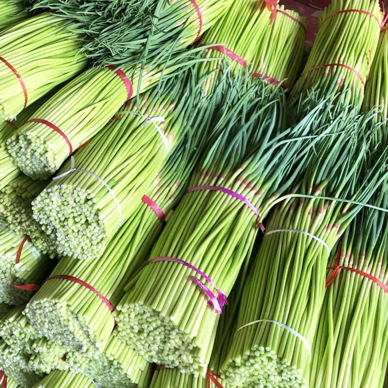 蒜苔新鲜蒜薹头茬紫皮大蒜头第蒜苗一名新鲜蔬菜3斤精选新鲜蒜苔