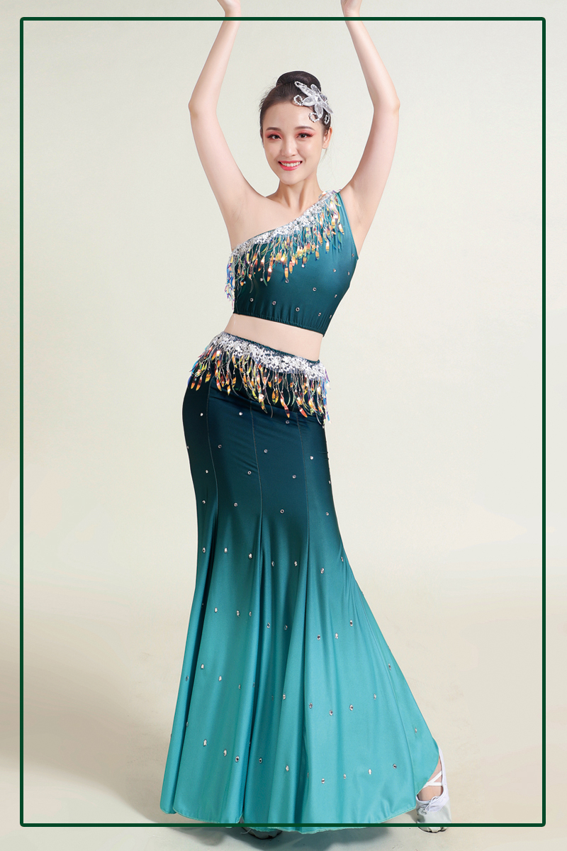 枫岚情舞蹈裙成人2021新款儿童傣族舞蹈服装演出服女云南孔雀舞包臀