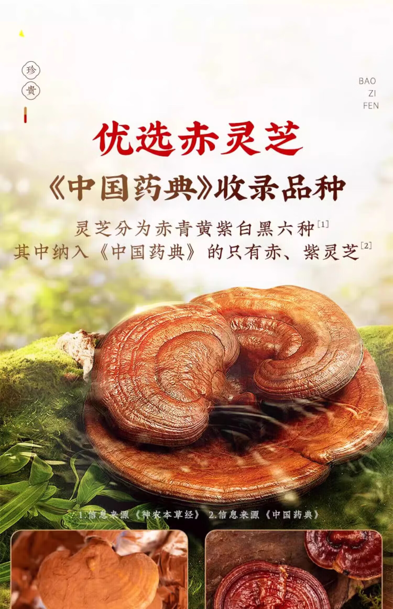 129cbf38ed2840c8.jpg