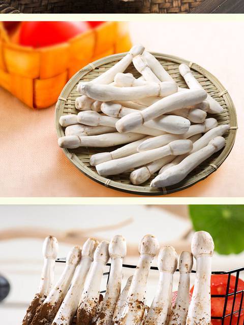 鸡腿菇新鲜蔬菜涮火锅煲汤新鲜菌菇现摘毛头鬼伞小松茸蘑菇鸡腿蘑2斤