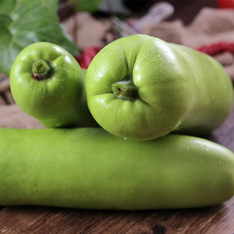 瓠子瓜新鲜蔬菜蒲瓜福建葫芦瓜夜开花农家现摘1/5斤 1斤瓠瓜【图片