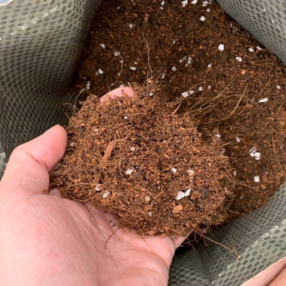 君子兰土土透气营养土植料椰糠泥炭土家用盆栽兰花种植土肥料君子兰