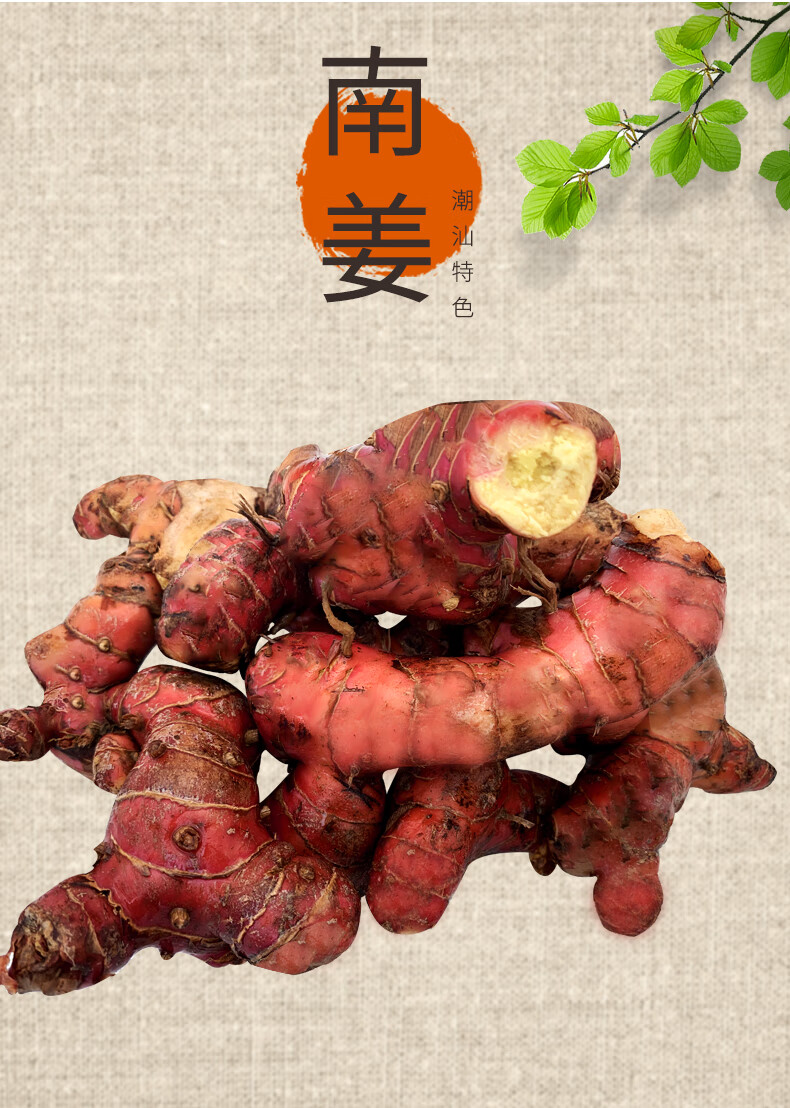 汕头发货潮汕南姜新鲜5斤装 精选野生南姜牛肉火锅去