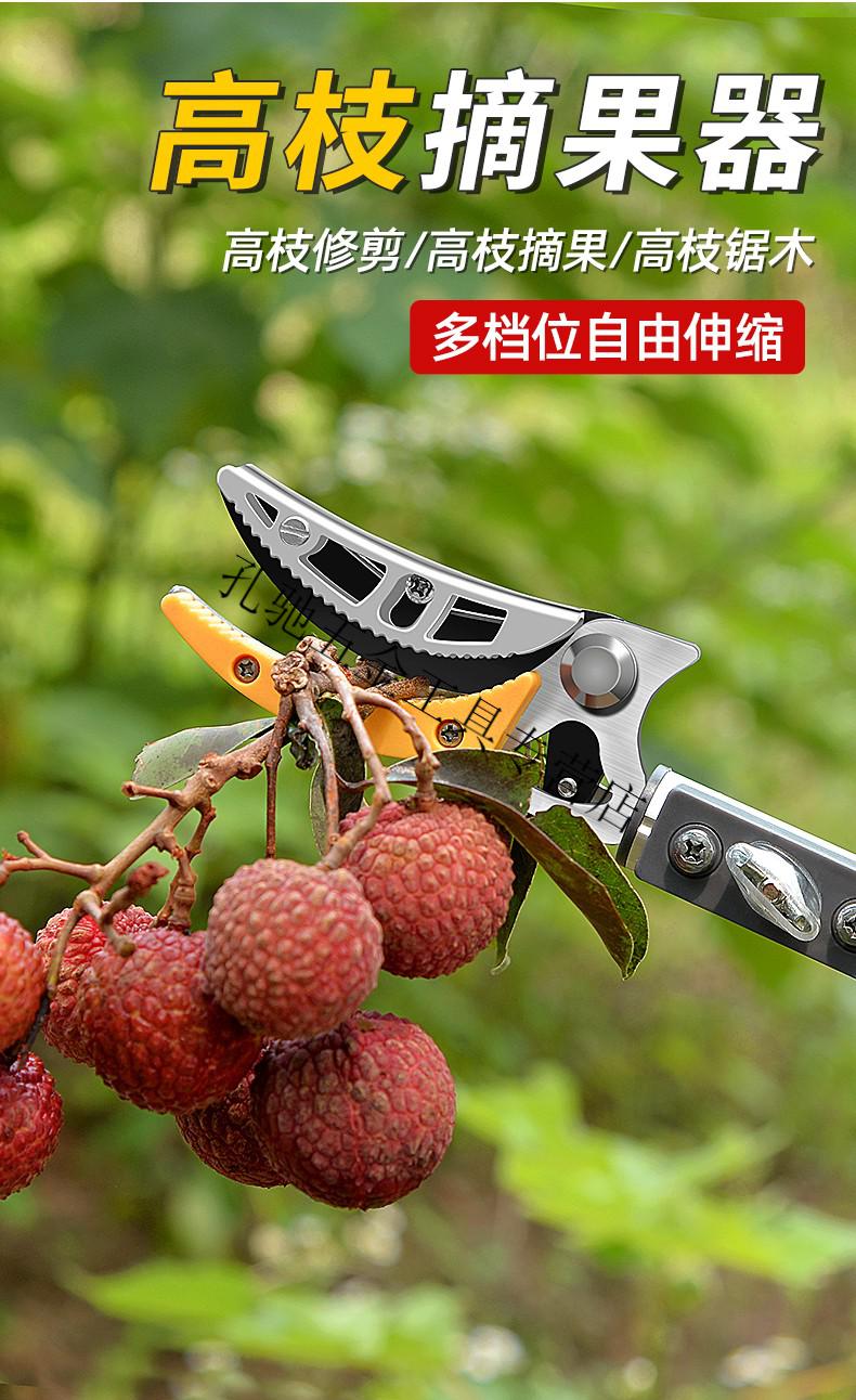 摘果神器修枝剪多功能伸缩高空摘水果采摘器剪刀加长采摘器荔枝果子