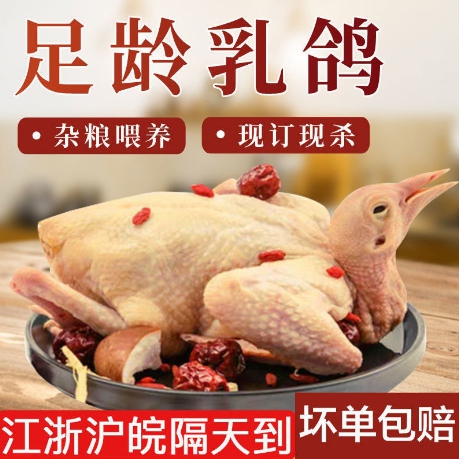 新鲜土鸽子散养乳鸽整只生鲜冷冻烤乳鸽活体现杀鸽子肉5只装400克每只