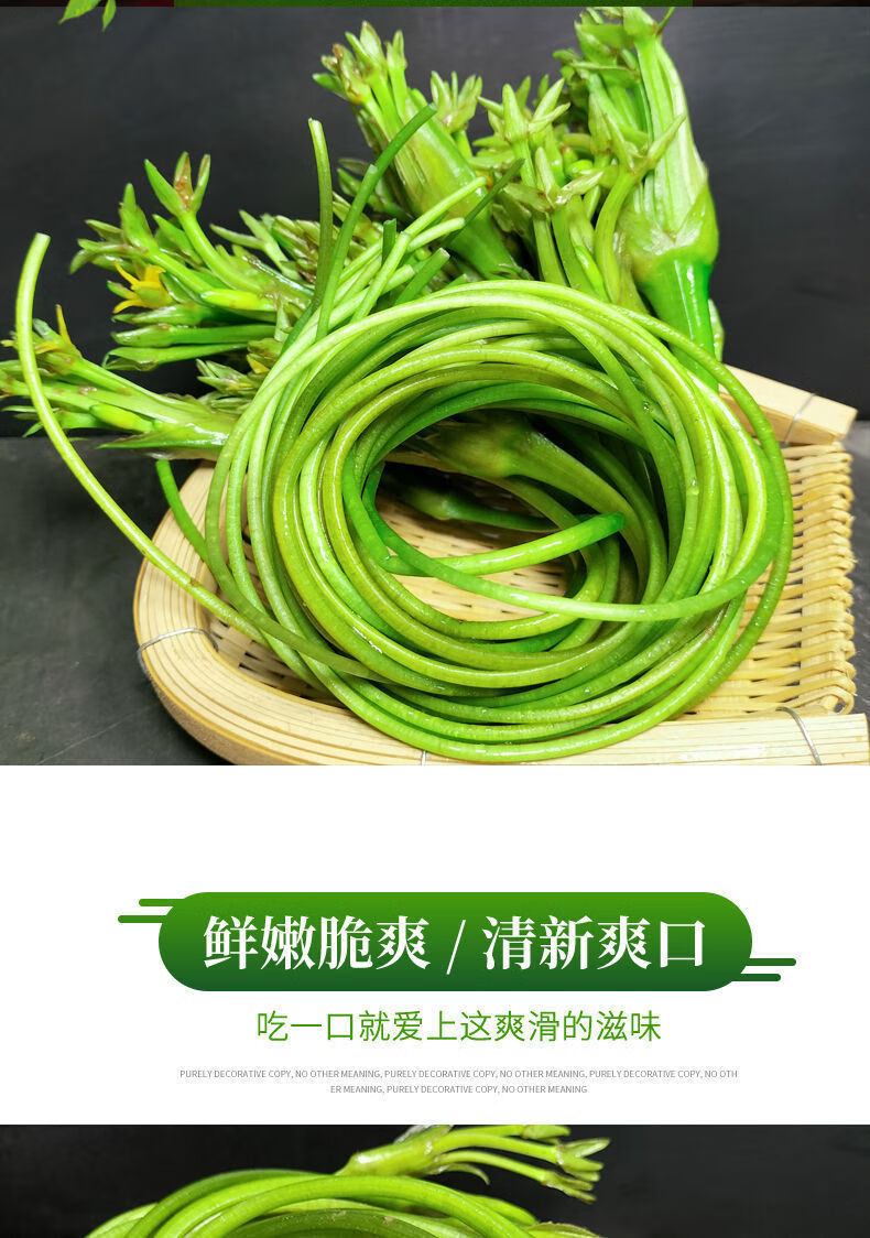 云南新鲜蔬菜海菜花4斤大理海白菜云南野菜大理特产普洱海菜水性杨花1