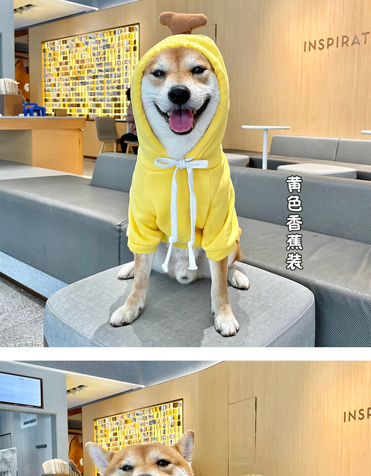 宠物连帽卫衣小狗衣服冬天幼犬中小型犬抓绒保暖卫衣柴犬搞笑青蛙衣服