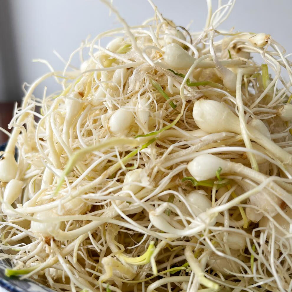 晨臻 东北特产小根蒜山野菜大脑瓜小头蒜蘸酱菜500g 1500g【图片 价格