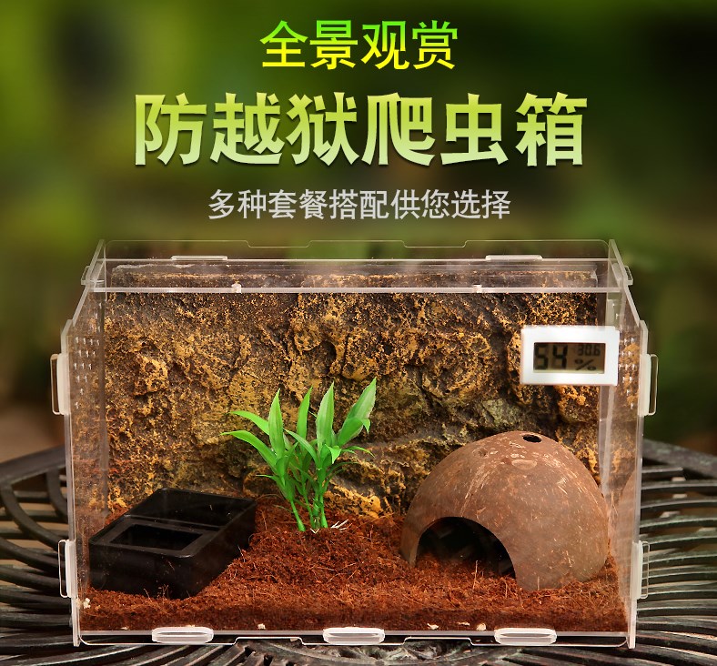 白玉蜗牛饲养盒 蜗牛宠物房子蜗牛盒子宠窝养蜗牛的专用盒子窝豪华