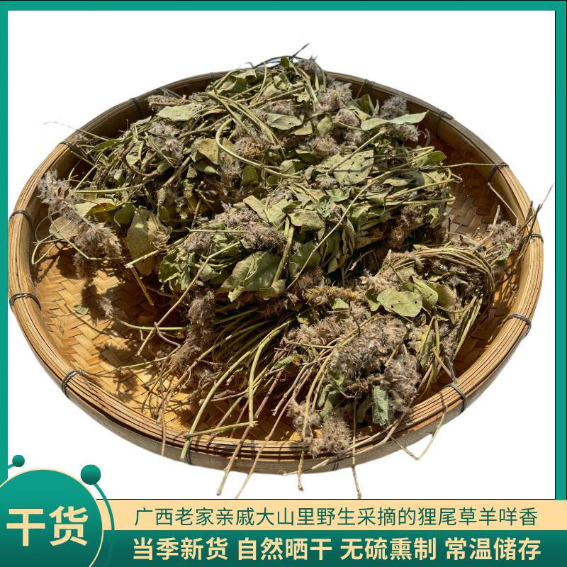 狸尾草中医世家图片