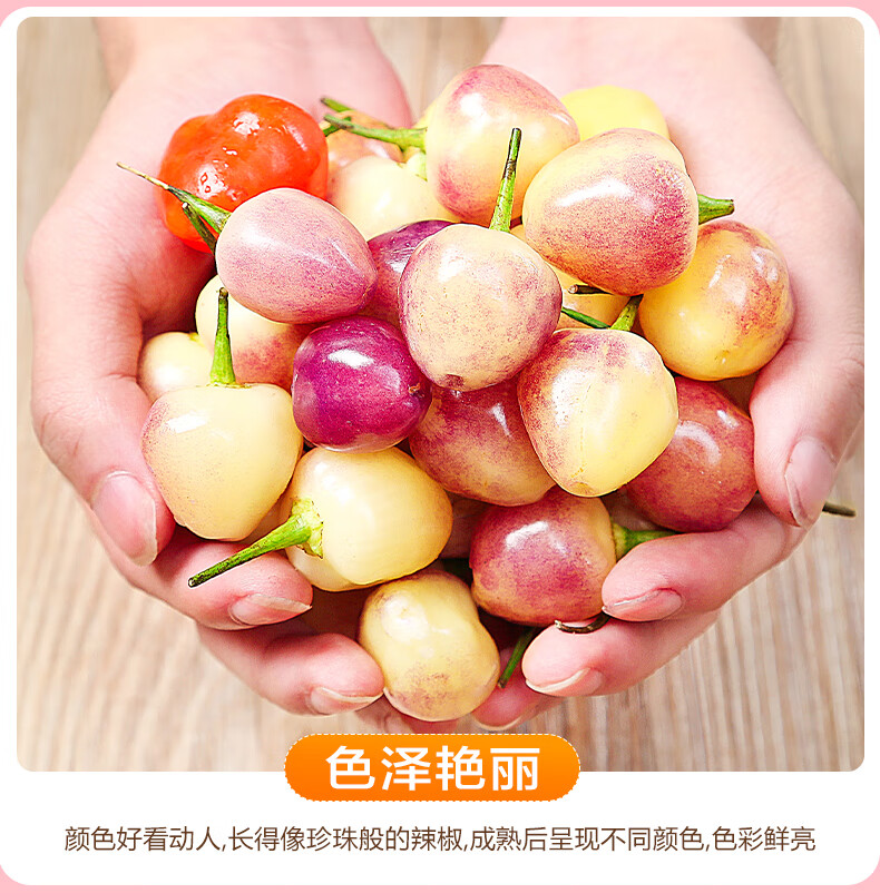 广西七彩椒5斤新鲜现摘小辣椒蔬菜五彩椒灯笼椒特产泡椒米椒500g