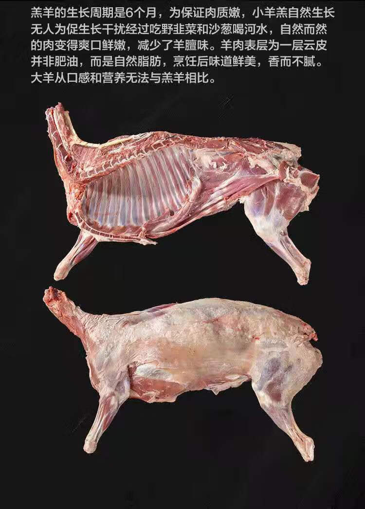 新鲜沂蒙山全羊切块肋排小排带骨山羊肉清真现杀整羊排块二斤三斤羊爪