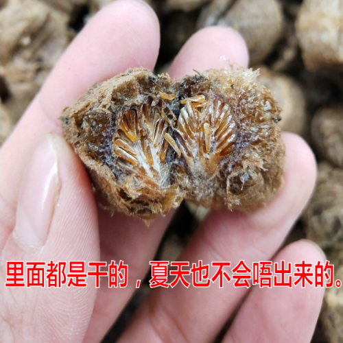 野生熟桑螵蛸50g/250g 桑蛸 新貨 熟桑螵蛸幹螳螂子刀螂子中藥材 熟桑