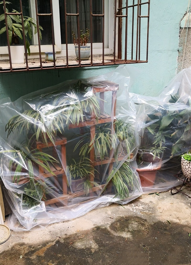 芊阙绿植物防冻保温袋塑料膜花卉盆栽过冬保护罩树木防寒布防尘袋透明