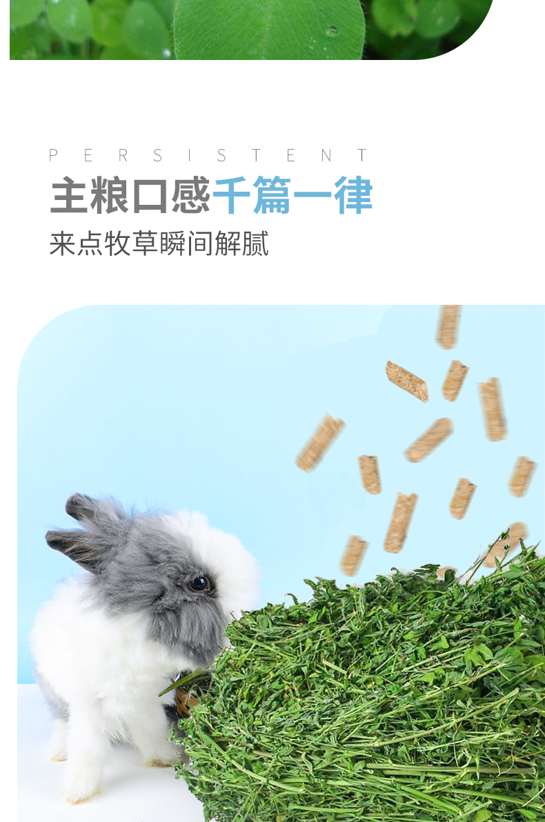 21年新紫花苜蓿草幼兔子草龙猫荷兰猪豚鼠牧草干草兔粮食饲料1kg