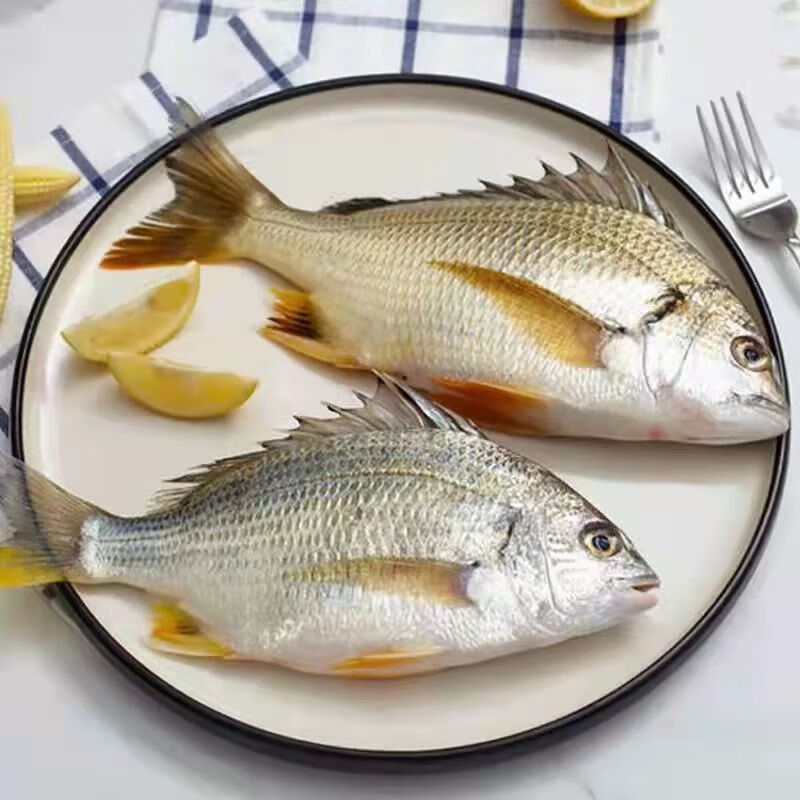 斓维品 黄翅鱼黄立鱼新鲜海捕海鲜水产活冻黄翅 黄翅鱼3斤共3条【图片