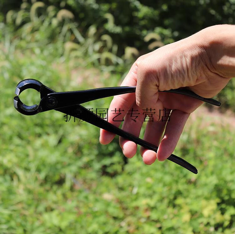 球节剪球节剪球形剪球剪球结剪盆栽造型制作树瘤树节修剪盆景工具宪胜