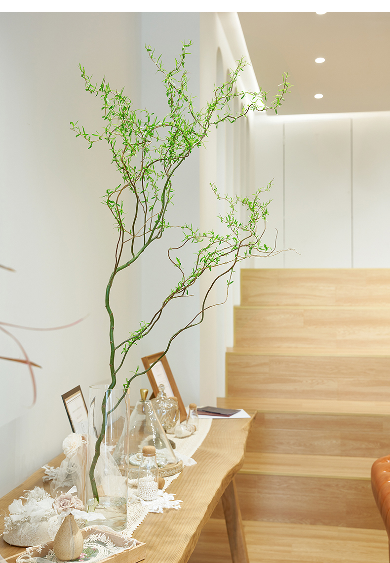 【京享优品】树枝装饰干枝树枝水培龙柳鲜枝鲜切花水养雪柳干枝马醉木