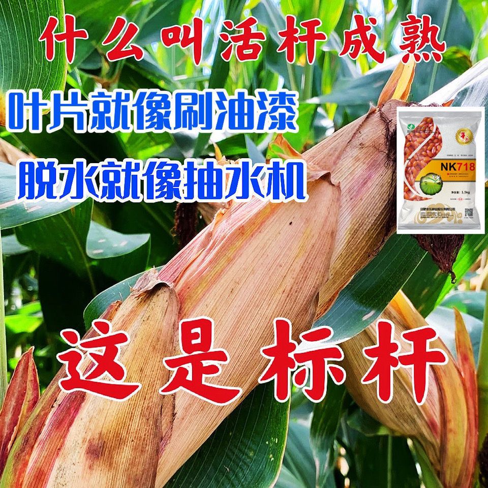 593c43e581b8c07f.jpg