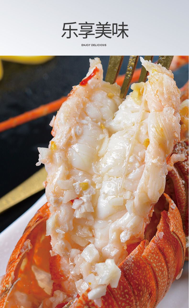 流连湾 鲜活小青龙 大龙虾 新鲜海鲜 澳龙波龙 活冻【-18度保鲜】