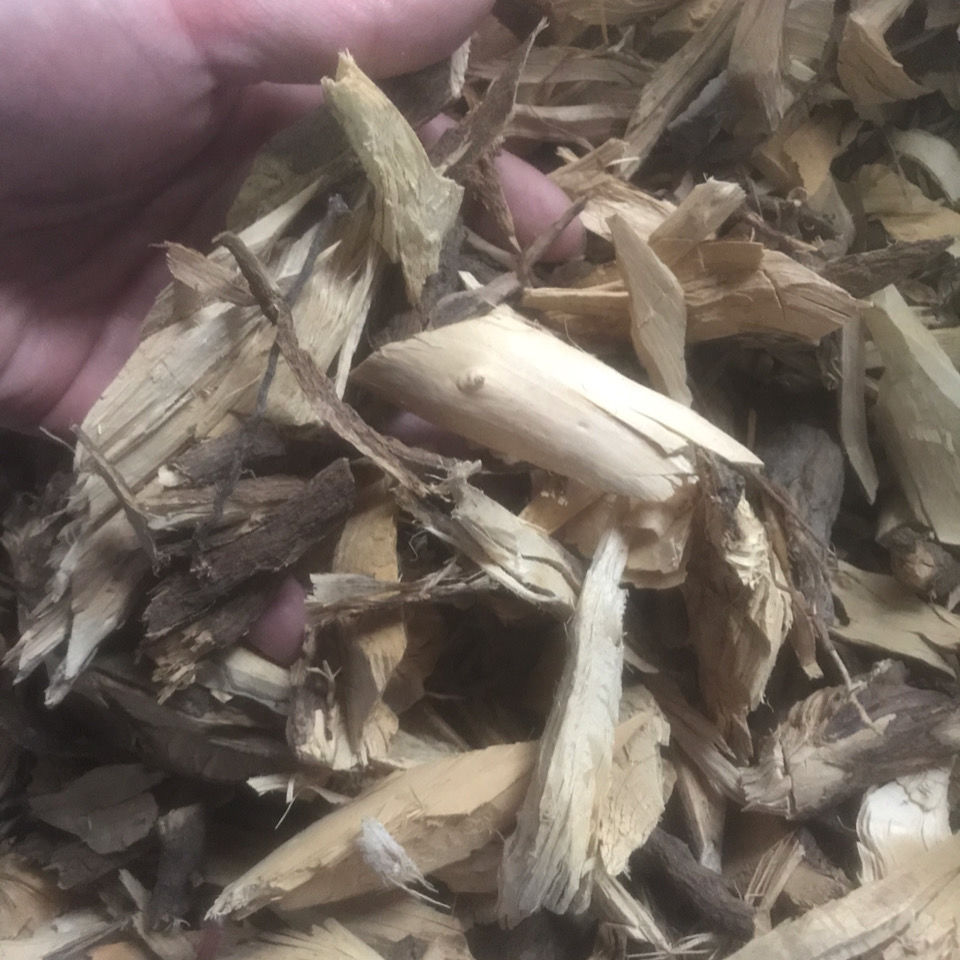 祛湿行胃气生草药黄皮果树根黄皮根煲鸡汤500克【图片 价格 品牌 报价