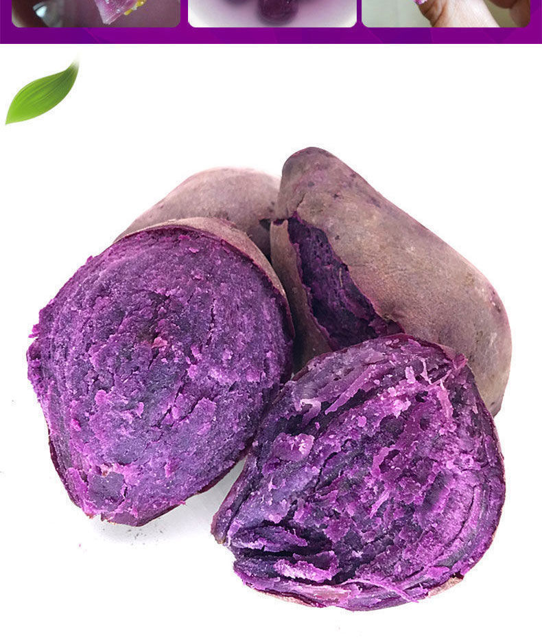 正宗紫薯新鲜现挖现发沙地紫薯粉糯香甜红薯批发紫薯中果优选装带箱十