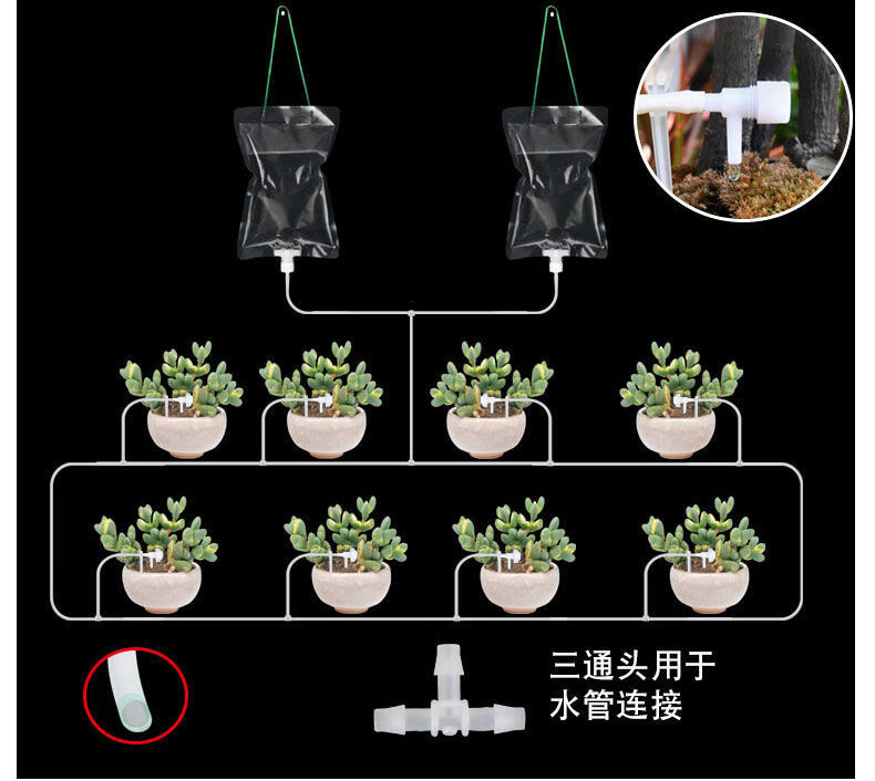 定时浇花器的做法图解图片