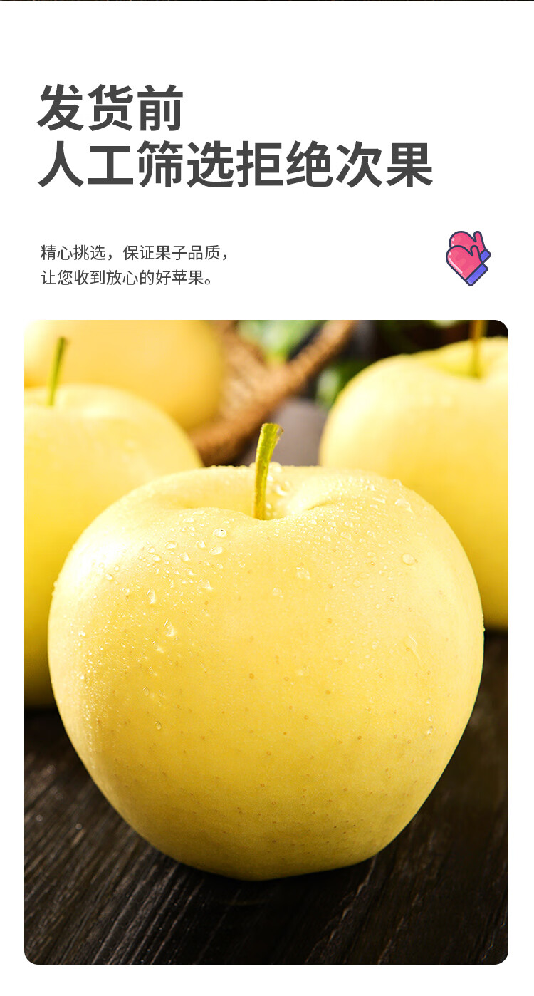 黄元帅苹果黄金帅苹果粉苹果水果黄蕉面黄色苹果应季水果5斤70mm含