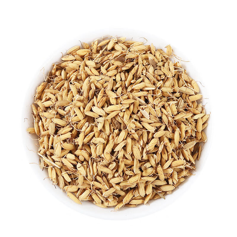 炒稻芽 炒谷芽 天然纯正500g另有生稻芽生麦芽生谷芽双芽水 500克值装