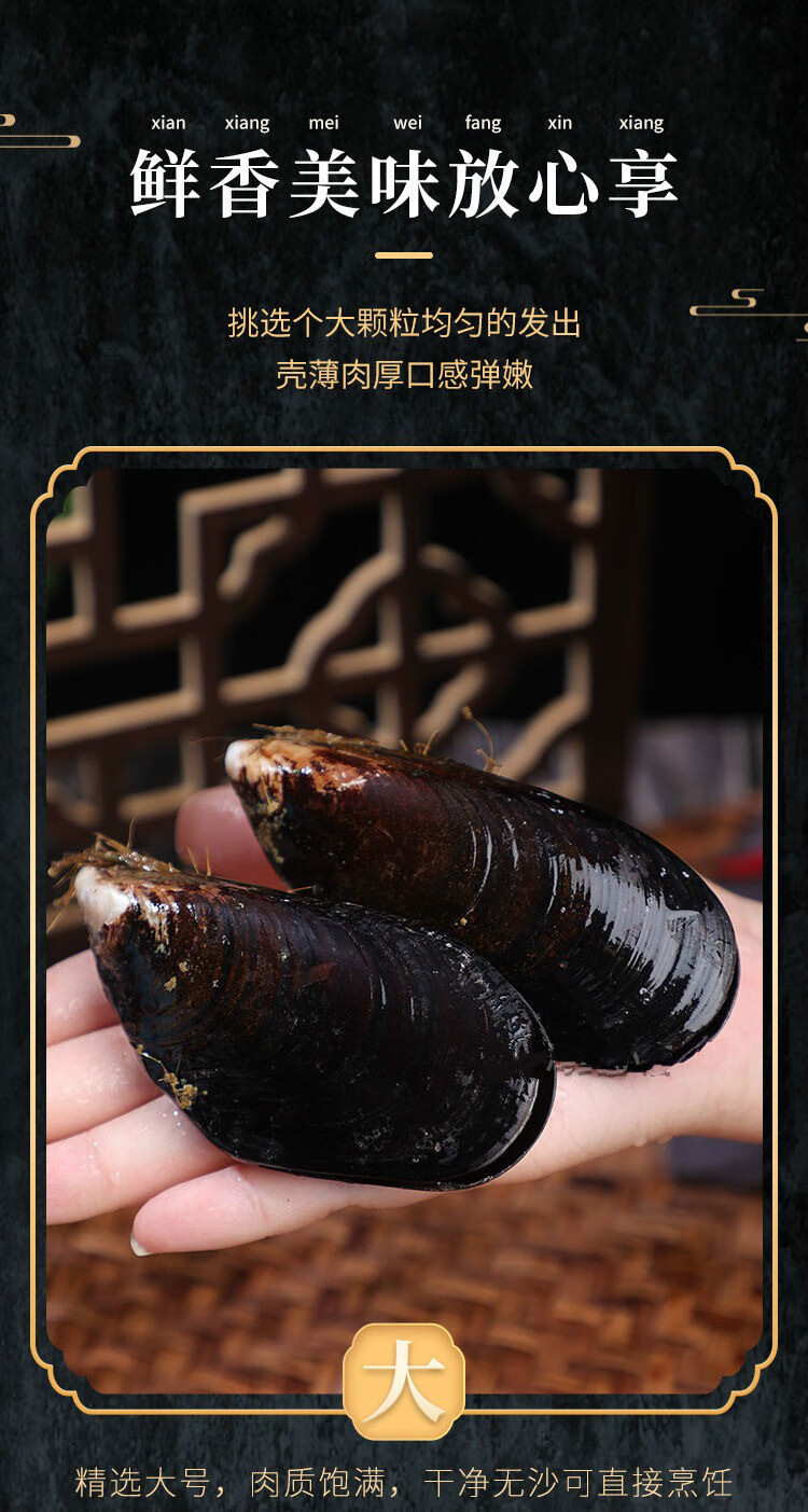 当天现铺鲜活青口贝新鲜超大海虹带壳野生贻贝类生鲜海鲜水产实发四斤