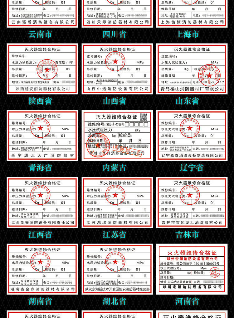 灭火器年检合格证图片图片