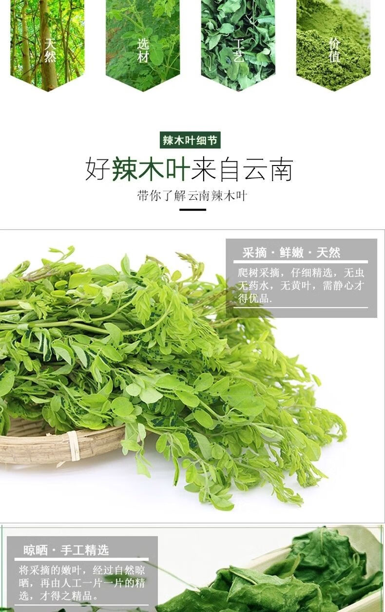 辣木叶100克 辣木干叶片自然晾晒辣木叶茶云南野生辣木籽叶茶 【精选