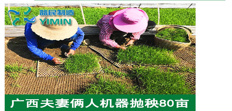 水稻抛秧机育秧盘抛秧盘插秧机背负式水稻抛秧机插秧水稻种植稻田经济