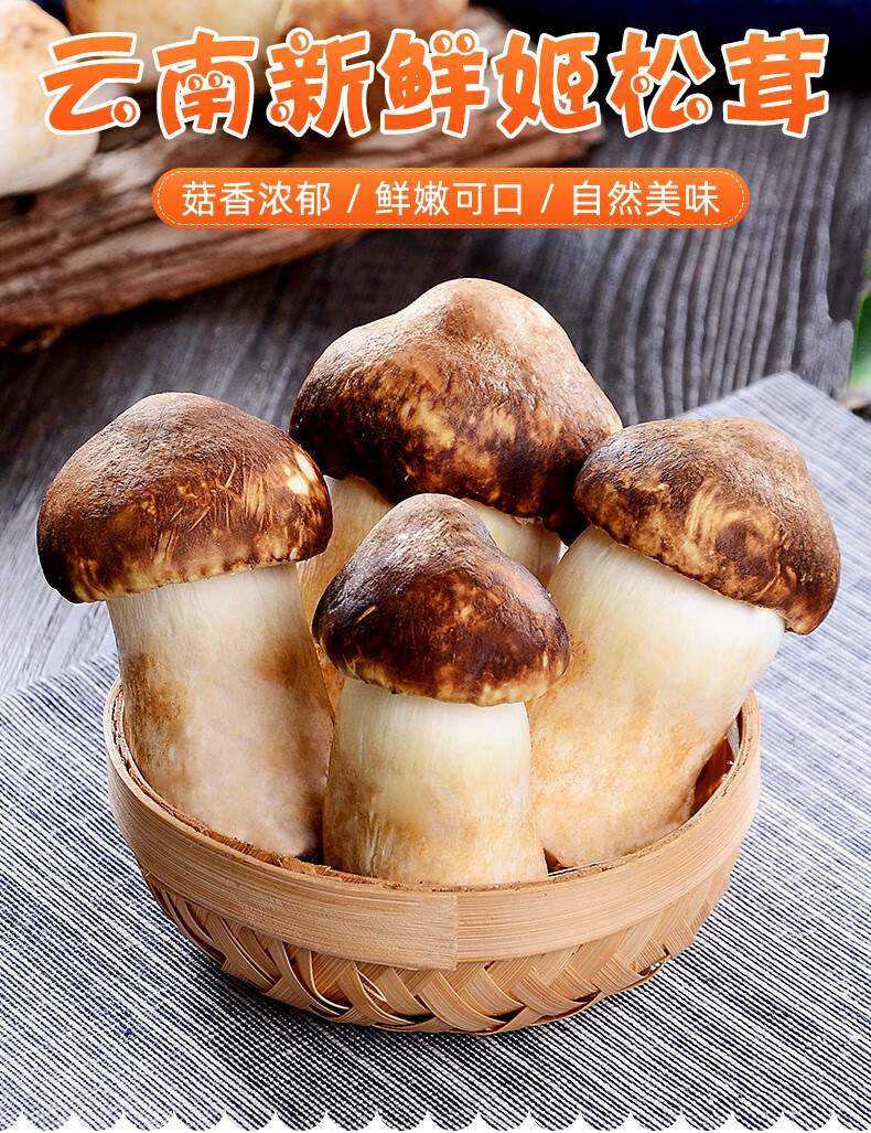 云南新鲜姬松茸当季食用菌菇巴西蘑菇小松菇赤松茸煲汤特产 1000g