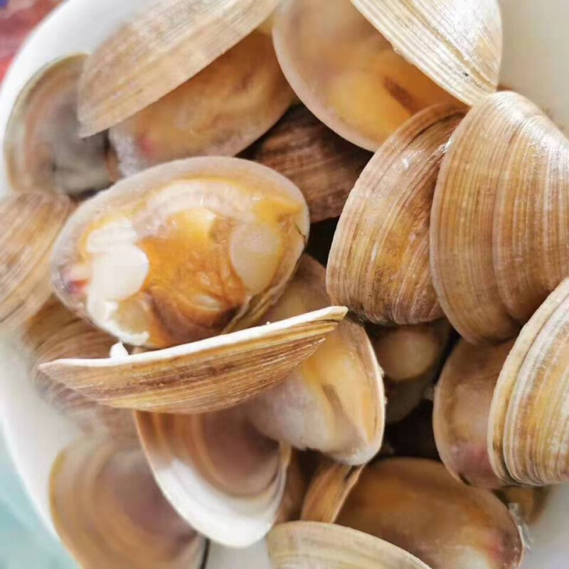 正宗丹东大黄蚬子带壳蛤蜊带壳文贝冷冻文蛤青柳蛤花蛤花甲美贝两袋