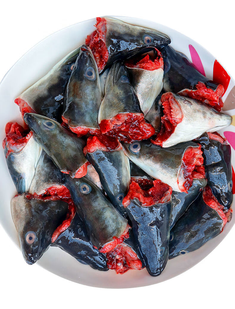 福建海鱼海鲜新鲜鳗鱼头乌耳鳗鲜活黑鳗鱼头潮汕特产白鳝头河鳗头 1斤