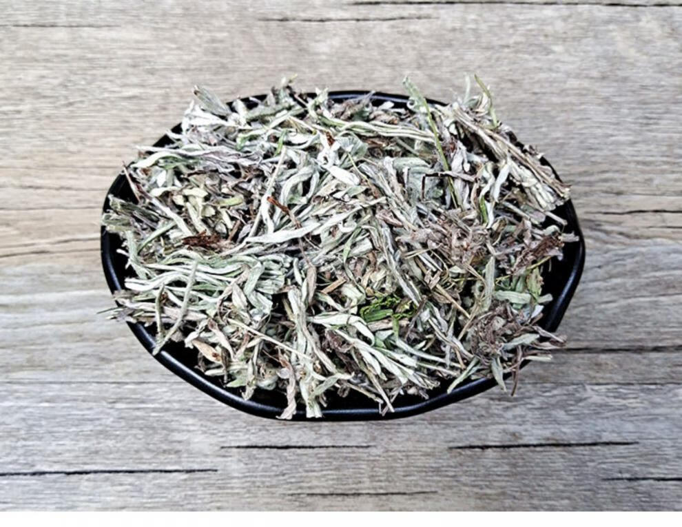 老头草500克中药材新货火绒草老头草薄雪草中草药新鲜干货