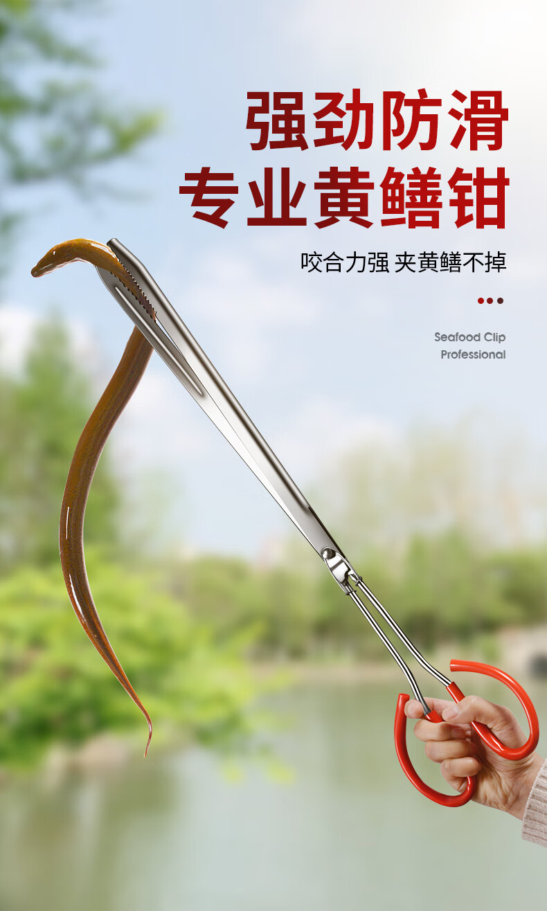 鳝鱼夹泥鳅螃蟹钳子不锈钢黄鳝夹子防滑防脱抓捉专用工具赶海神器 夹