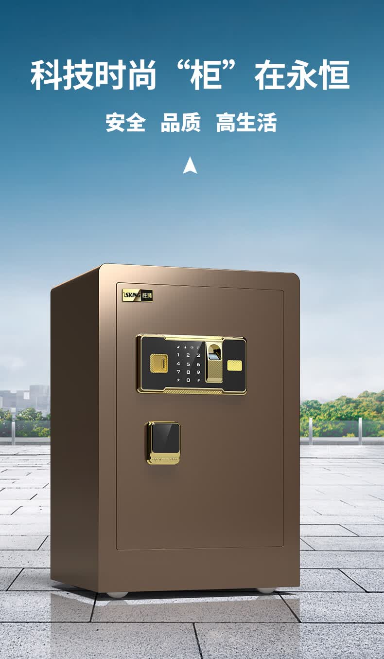 【送货上门】胜狮全钢保险柜家用防盗办公室文件保险箱指纹密码隐形