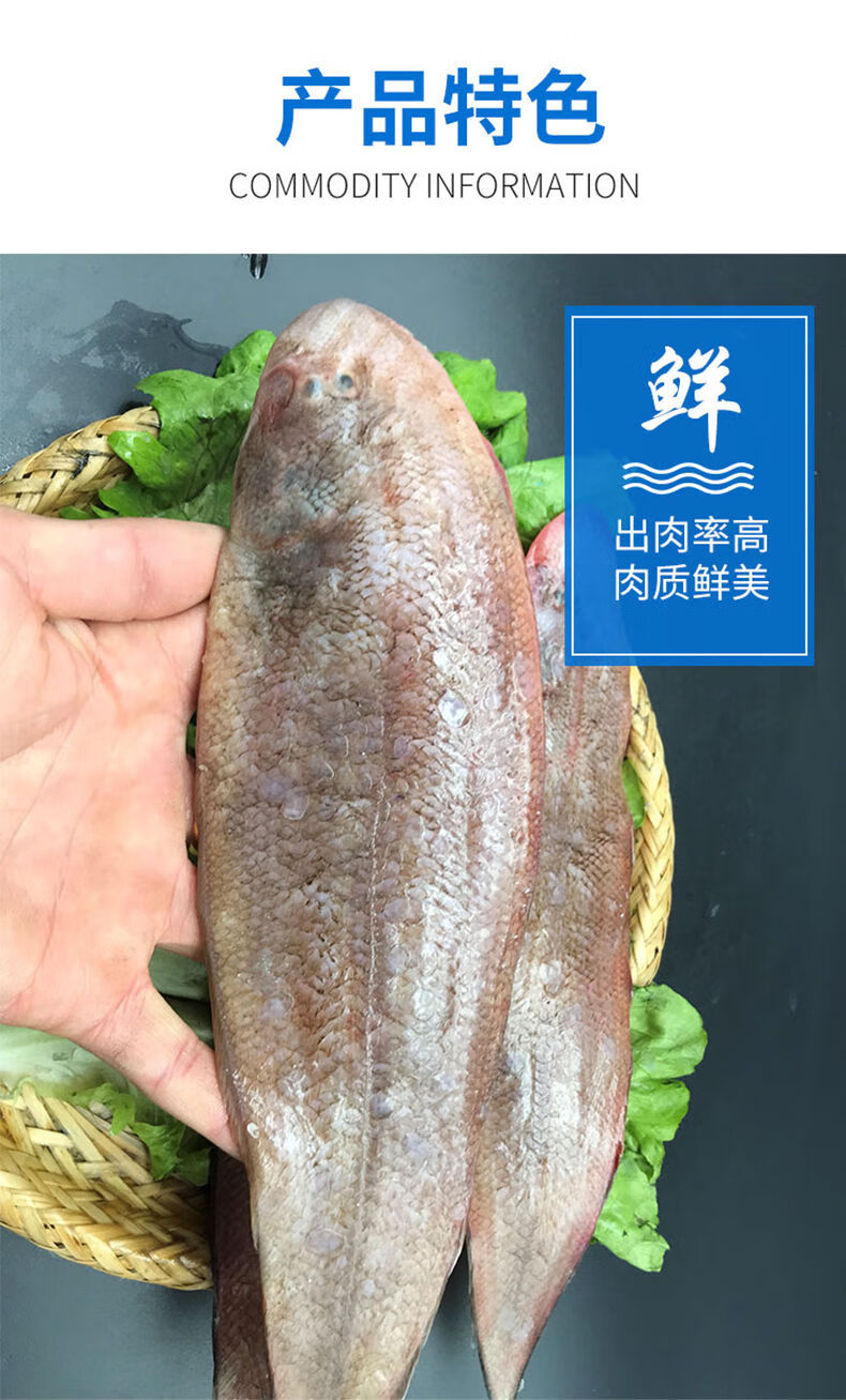 整条玉秃东海龙利鱼舌头鱼 1斤2-3条 精品2斤装【图片 价格 品牌 报价